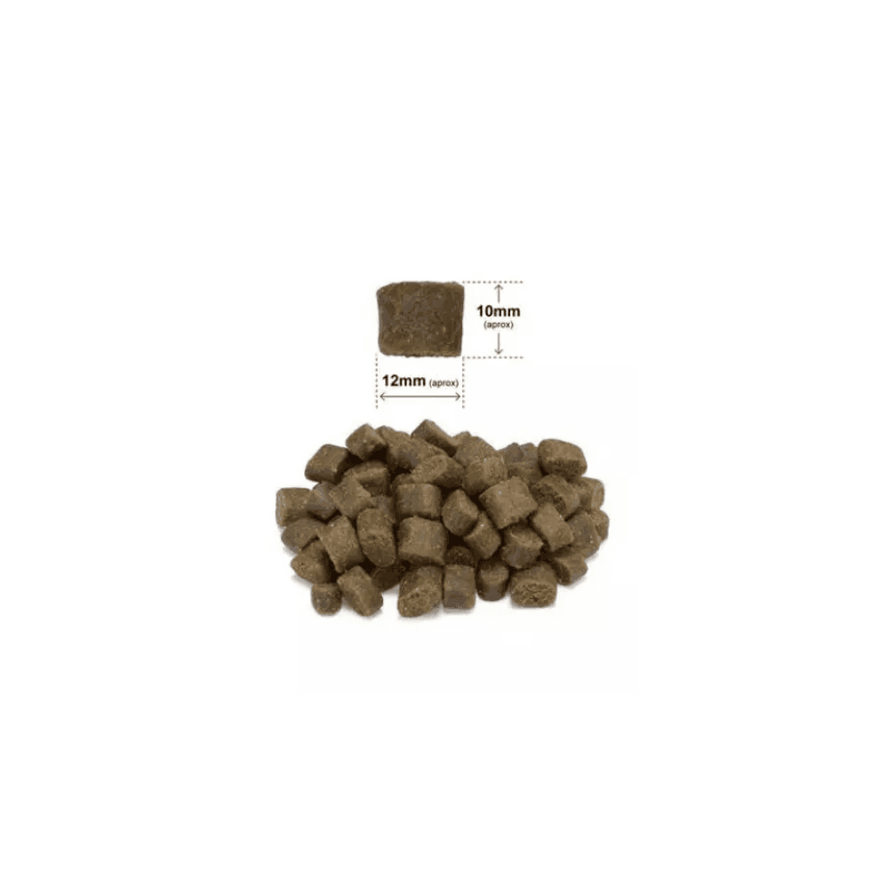 ARQUIVET FRESH Półwilgotna karma dla psa indyk i ryba oceaniczna 2,5 kg